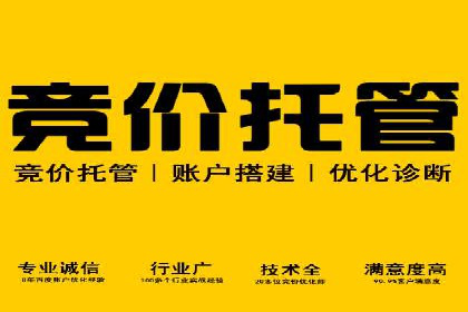 娱乐行业SEM服务托管的广告创意与执行